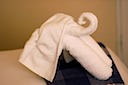 Elephant Towels