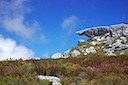 Table Mountain scene