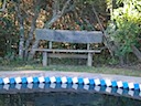 Lonely Bench at Poolside