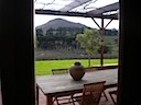 View from inside the Wine Store at DelVera