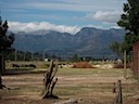 Scenery Near Paarl