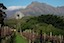 Stellenbosch Vineyard Hiking Trail