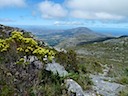 Table Mountain Vista